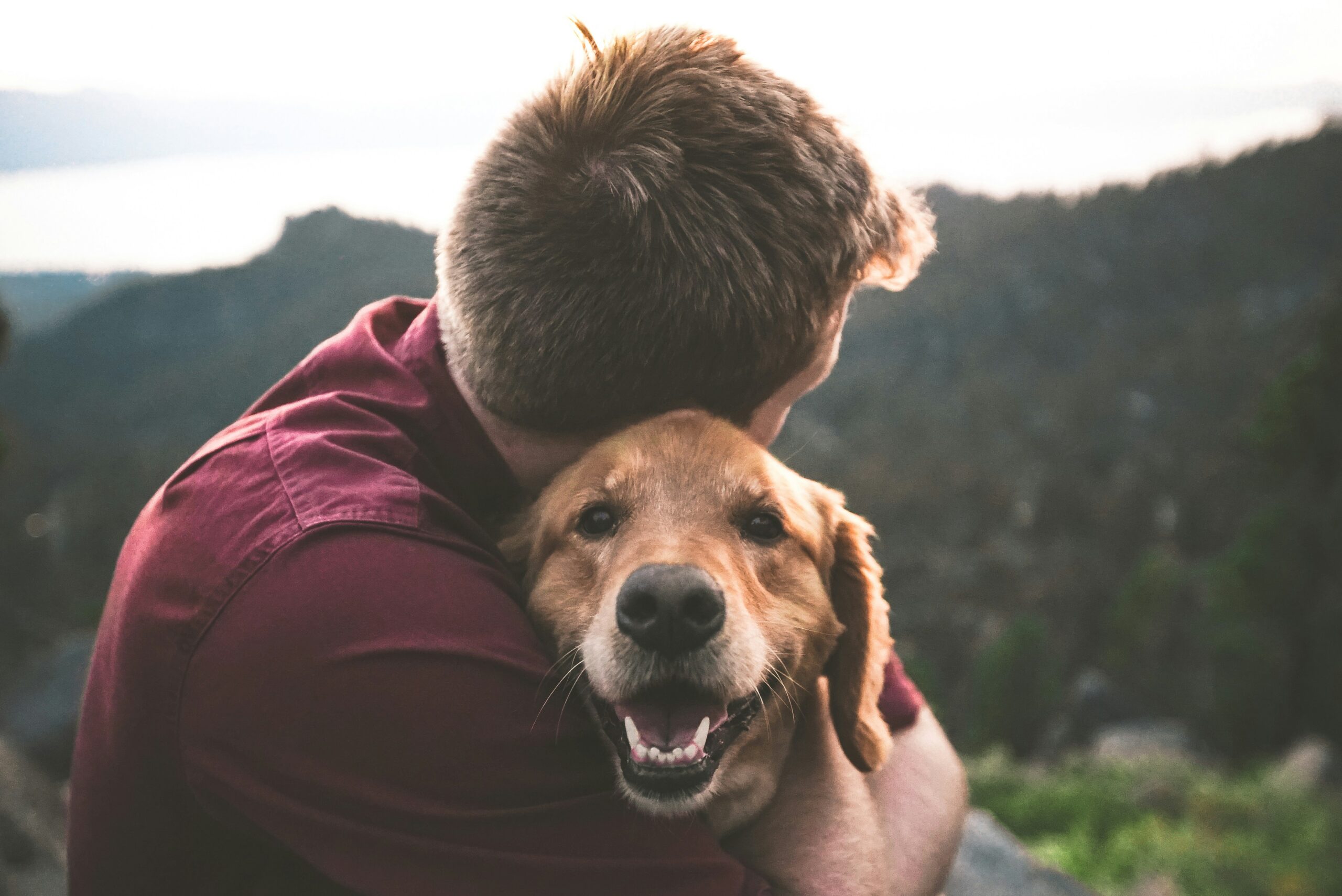 Can Dogs Have Almond Milk